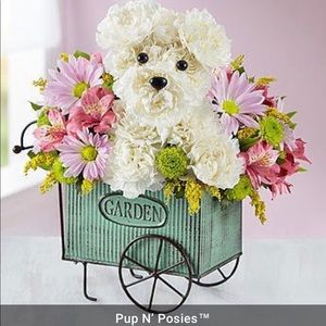 Meet your Posher, Angela